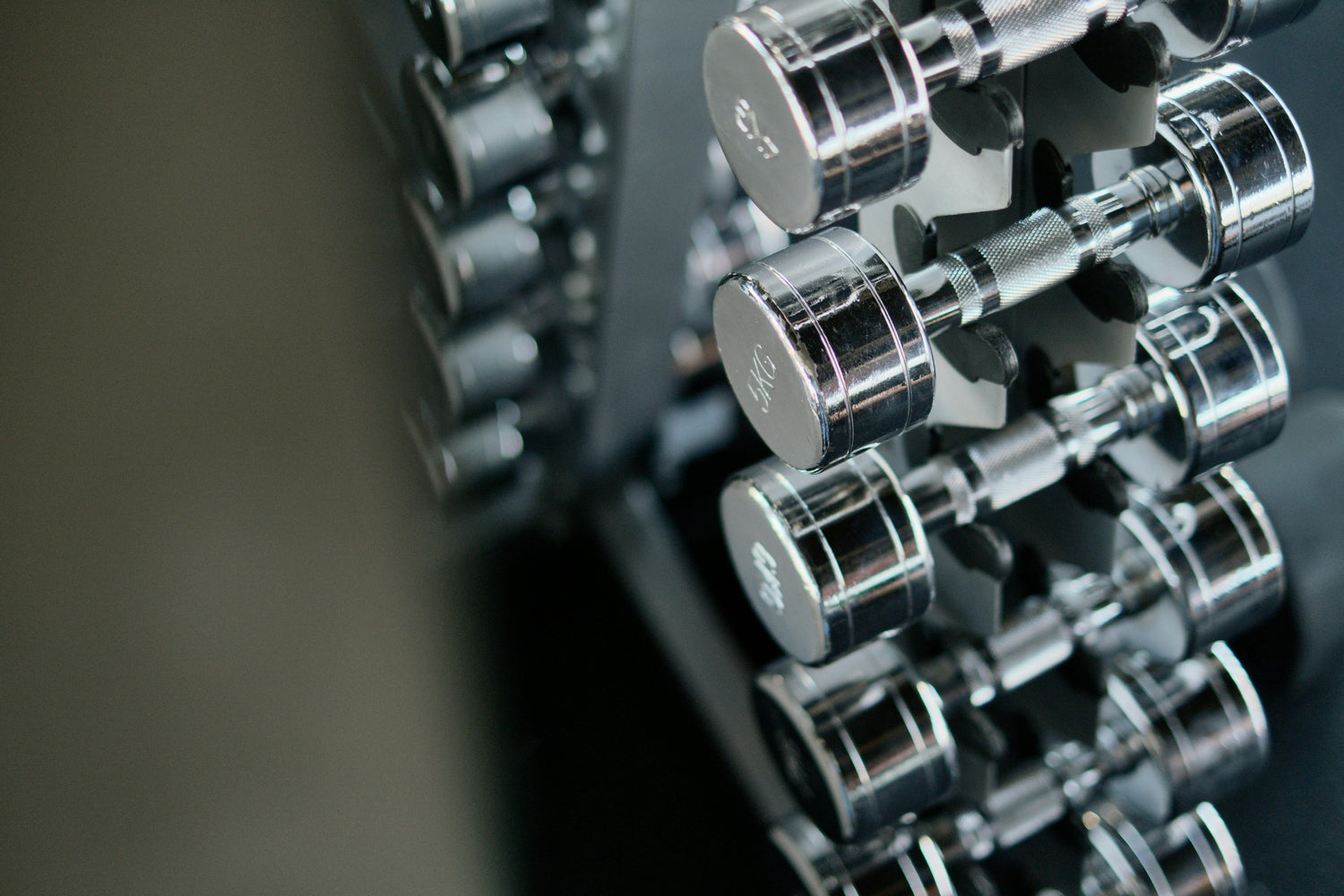 Fitness y Gimnasio